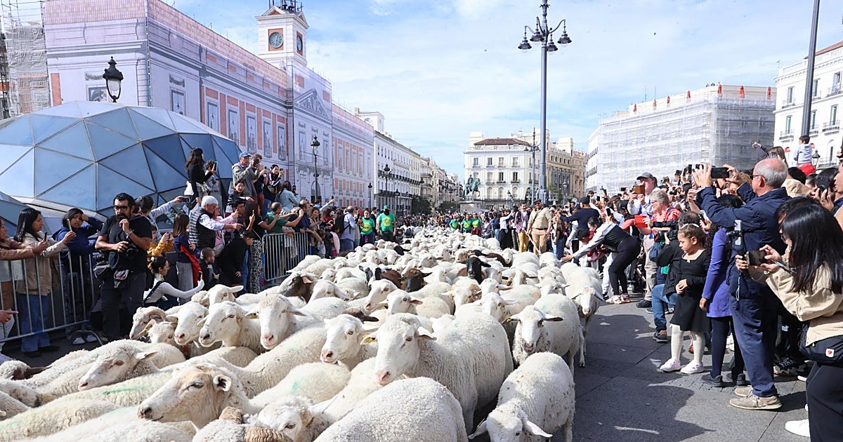 Ayuso blindará como Bien de Interés Cultural la trashumancia ante la falta de relevo que amenaza el oficio
