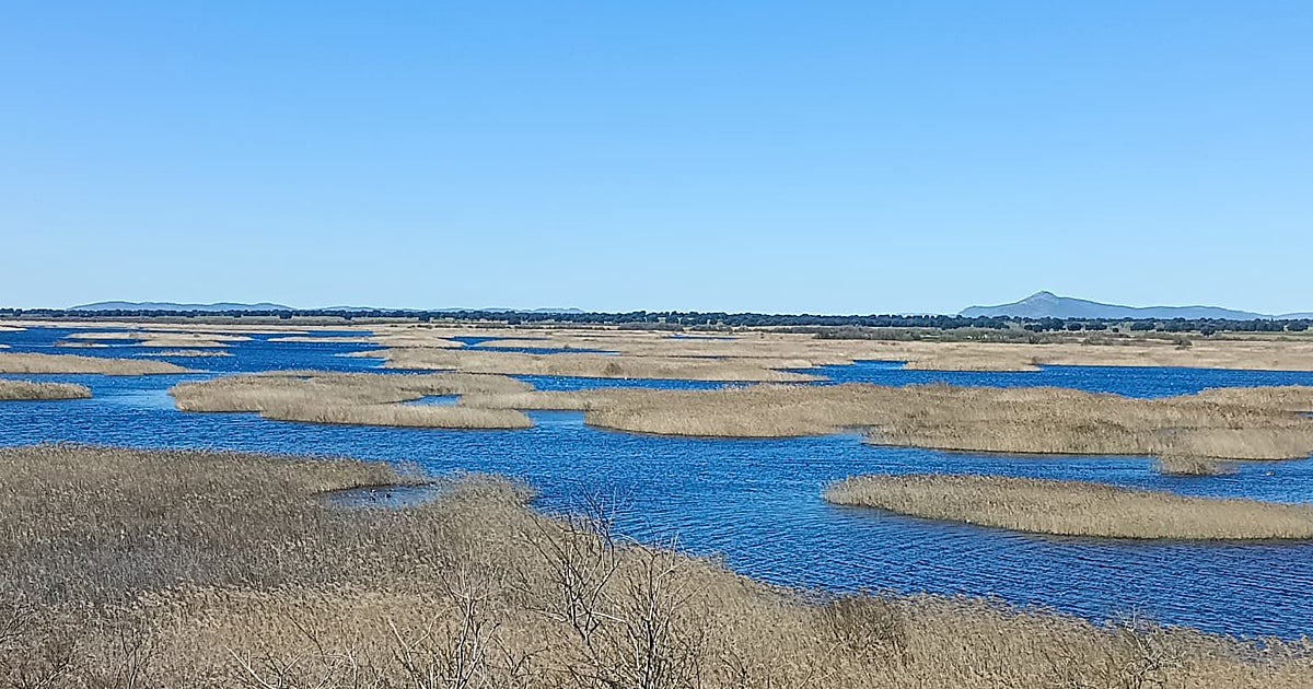 Las lluvias convierten las Tablas de Daimiel en un fugaz oasis en el corazón de La Mancha