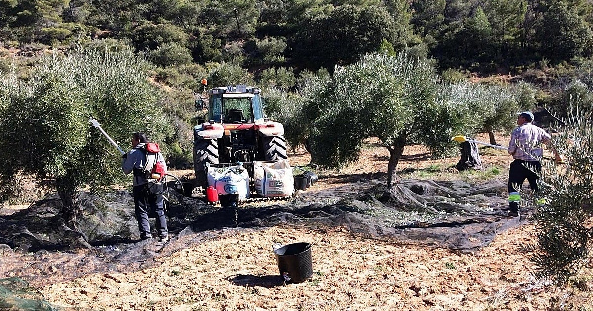 El 12% de la población de Castilla-La Mancha es inmigrante, con peso en el campo y el hogar
