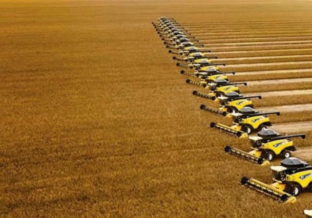 Cosecha de campos de soja