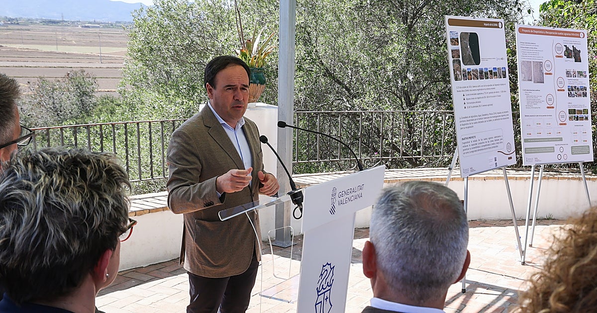 Un estudio «ratifica» la capacidad productiva agrícola de la Comunidad Valenciana tras la dana