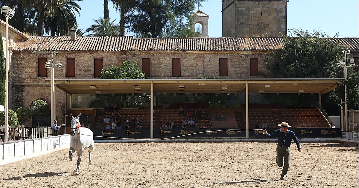 El Ayuntamiento de Córdoba aprobará este lunes la cesión formal de Caballerizas Reales a Córdoba Ecuestre