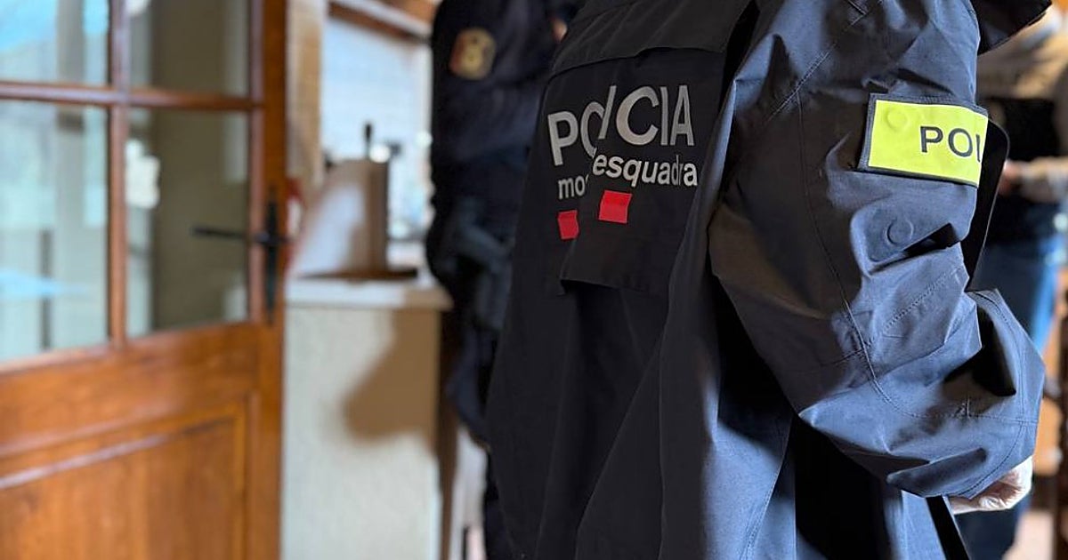 Detenido un menor por golpear a uno de los agresores de un joven con discapacidad en L'Arboç (Tarragona)