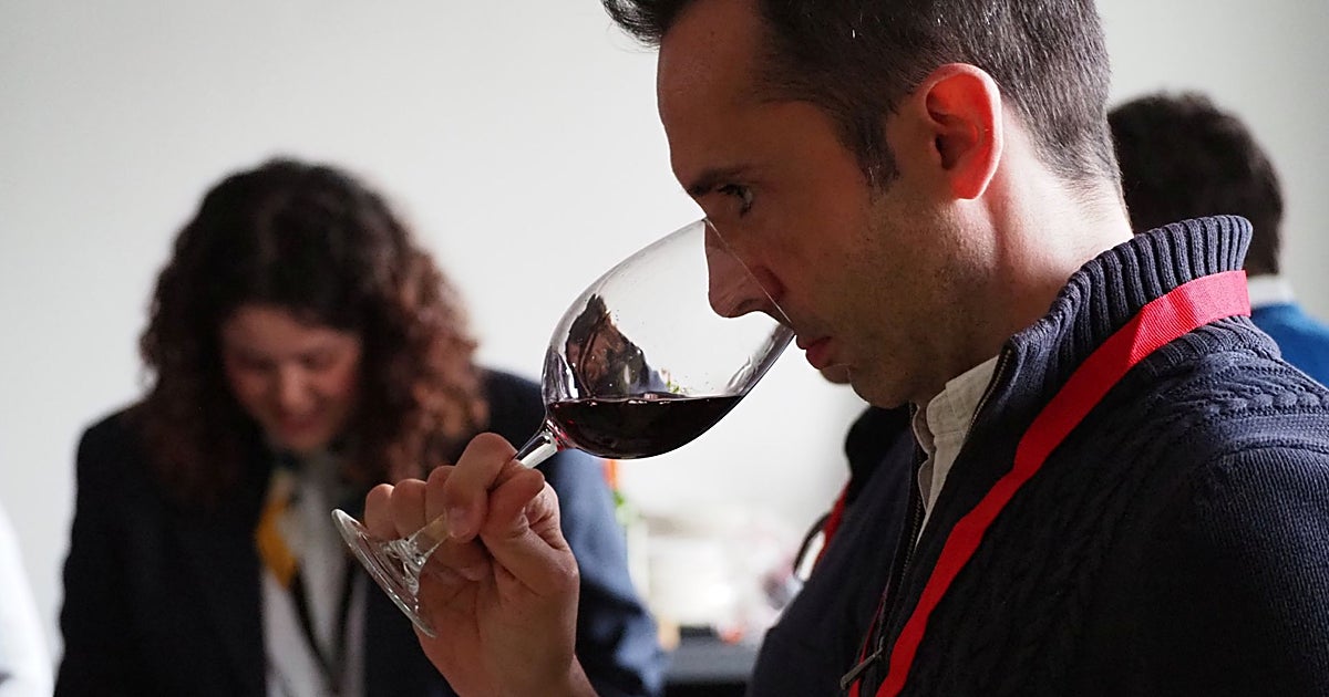 Innovación y tendencias vitivinícolas se dan cita en Toledo en el V Congreso de Enología de la región