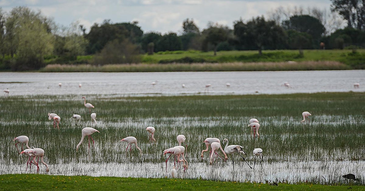 Andalucía ha sumado 123.000 hectáreas protegidas en ocho años