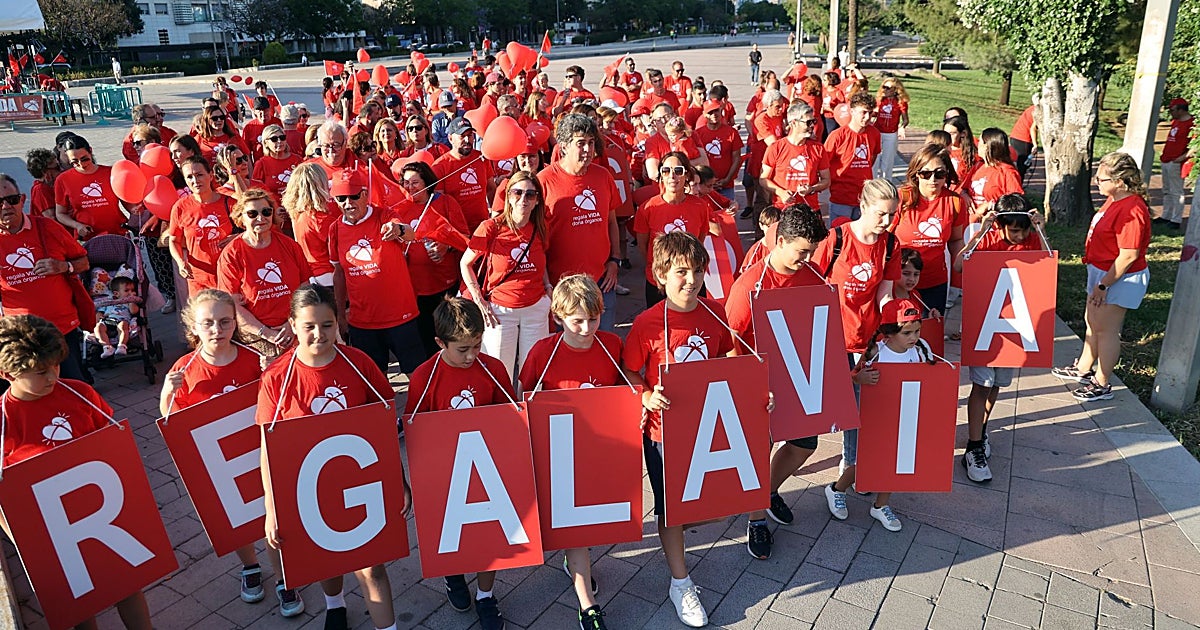 Más de 500 sanitarios de se forman en Castilla-La Mancha para impulsar la donación de órganos