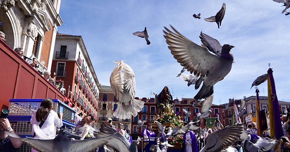 Castilla y León se echa a la calle para vivir la alegría del encuentro de la Virgen con el Resucitado