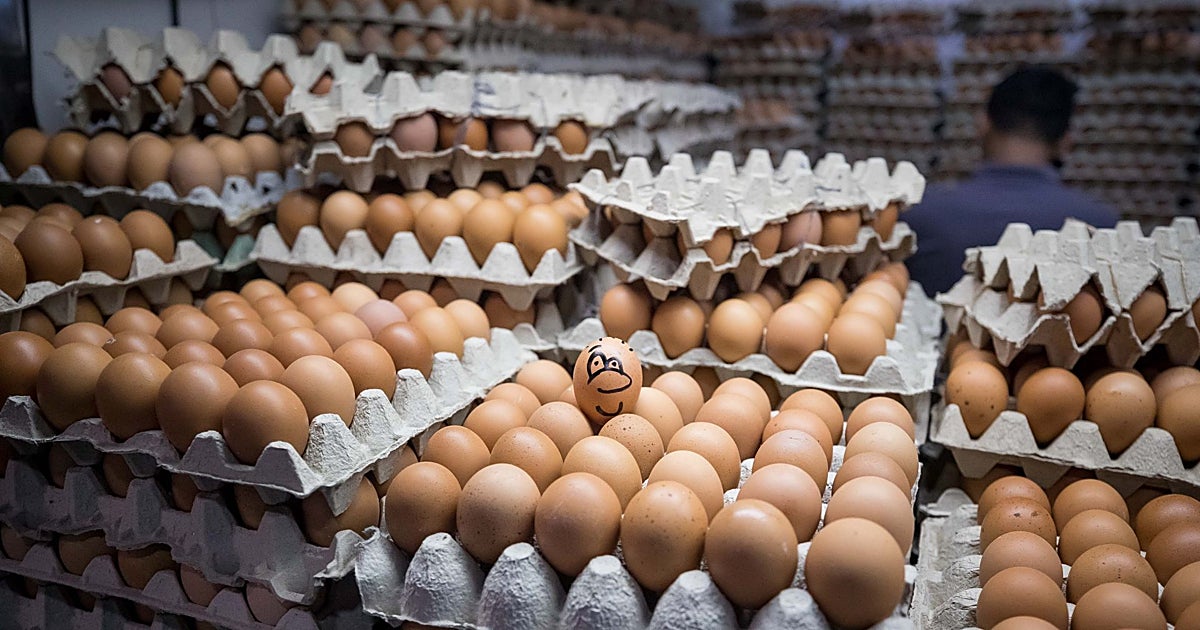 Avances en sanidad y calidad para el sector del huevo con el centro tecnológico en Castilla-La Mancha