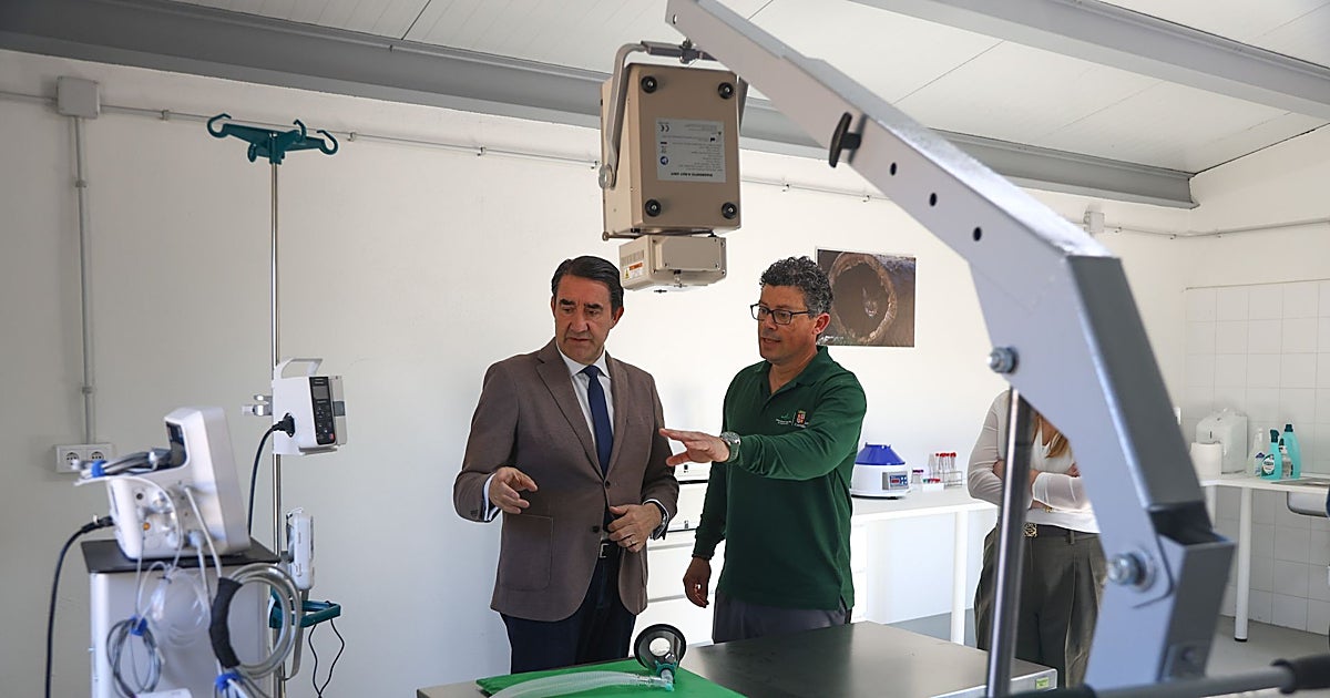 Más de 570.000 euros para reforzar el programa de reintroducción del lince ibérico