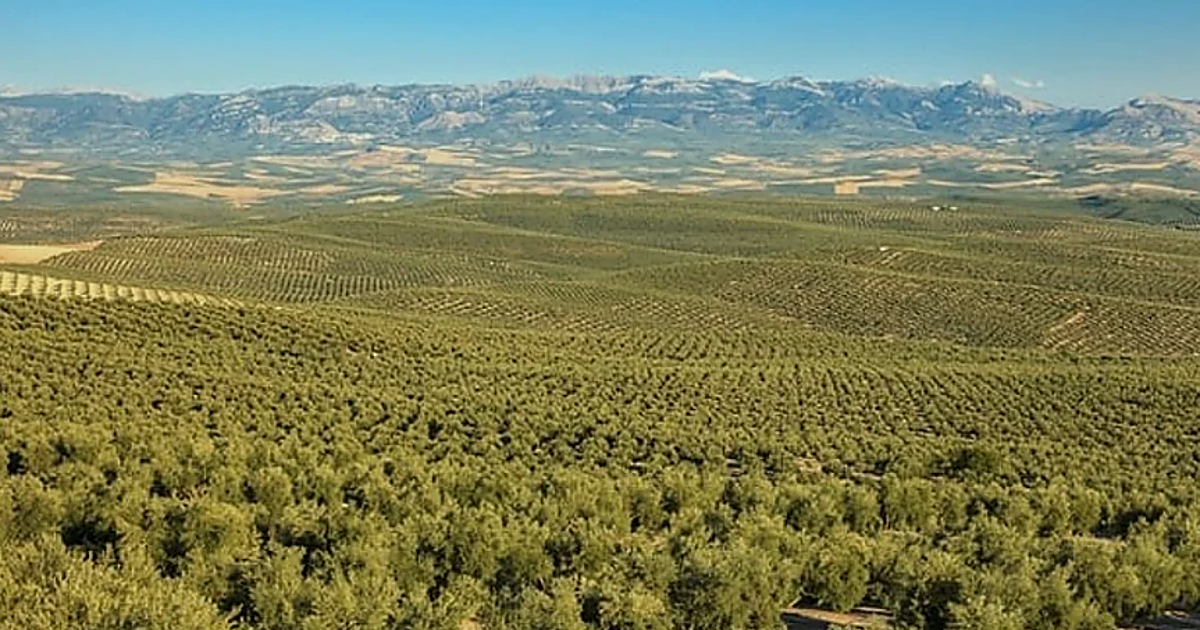 Jaén, única provincia andaluza que destruye empleo en el mes de marzo