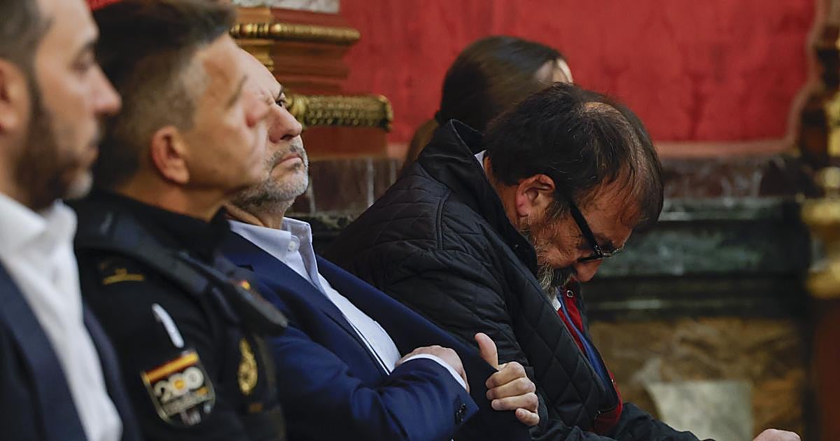 La otra cara del juicio: los fantasmas del pasado de Ábalos, una dentista colegiada y un gato