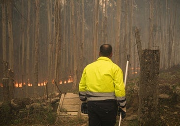Estabilizado el incendio de Ponteareas tras quemar 600 hectáreas