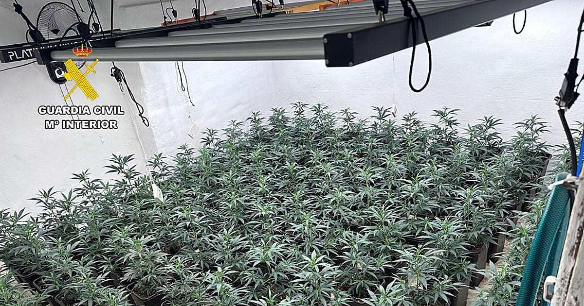 Descubren a un padre y su hijo con marihuana por un consumo eléctrico ocho veces mayor al contratado