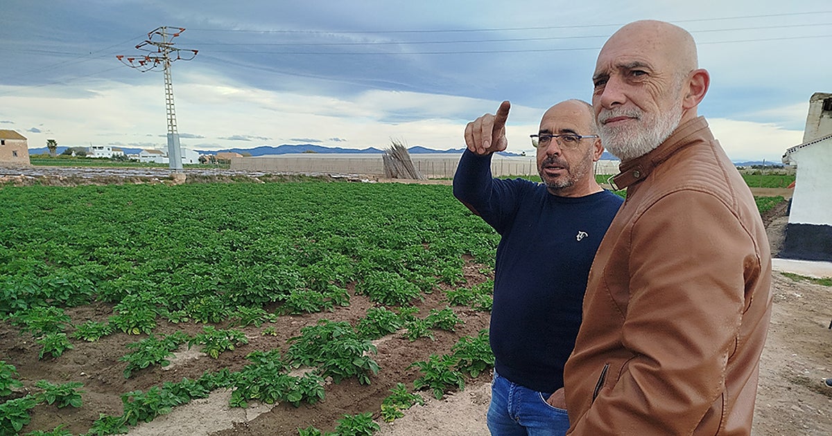 Agricultores reclaman al Gobierno una investigación: «Precios ruinosos» y 12 veces más caros en la tienda