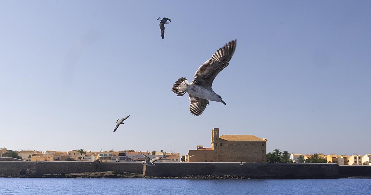La isla poblada más pequeña de España, Tabarca, pedirá la insularidad para mejoras a sus 59 vecinos