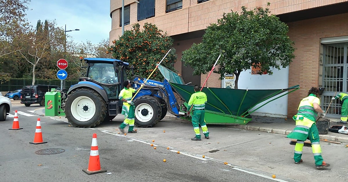 El destino de las naranjas que Valencia recoge en sus calles