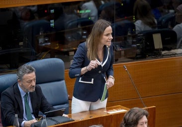 La Asamblea tumba la iniciativa de Vox que exigía «prioridad nacional» en la sanidad