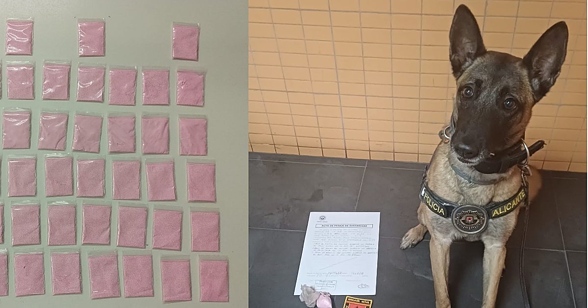 La perra policía Kata detecta 124 gramos de 'coca' y 'tusi' oculta con café en los genitales de un viajero