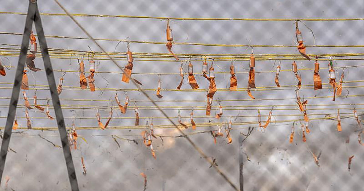 Castillo de fuegos artificiales y mascletà en Valencia por San Vicente Ferrer: horario y nueva ubicación