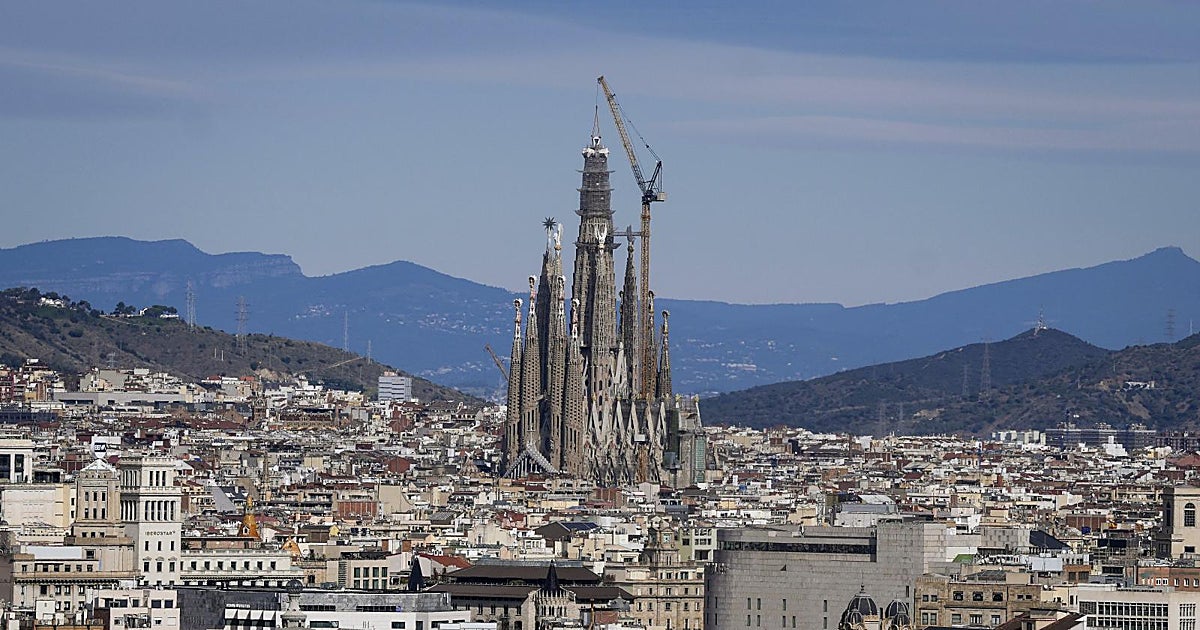 Nacen los primeros pollos de halcón peregrino del año en el nido de la Sagrada Familia