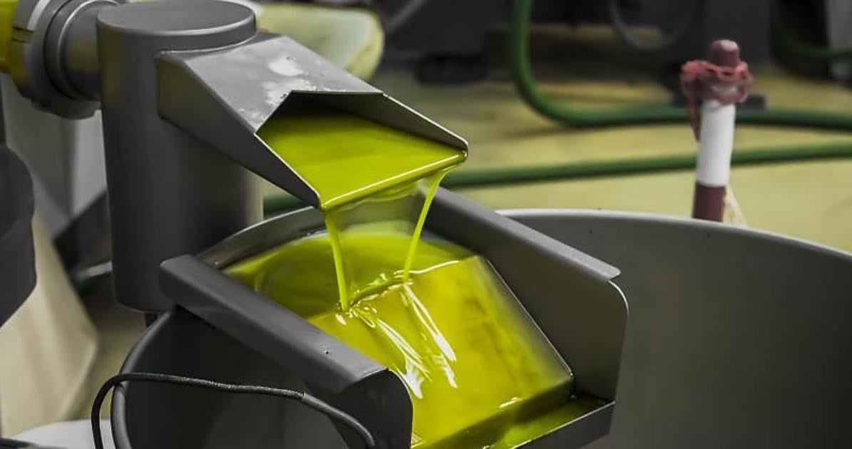 La campaña olivarera cierra en Córdoba con menos cosecha de la prevista y la incertidumbre del mercado internacional