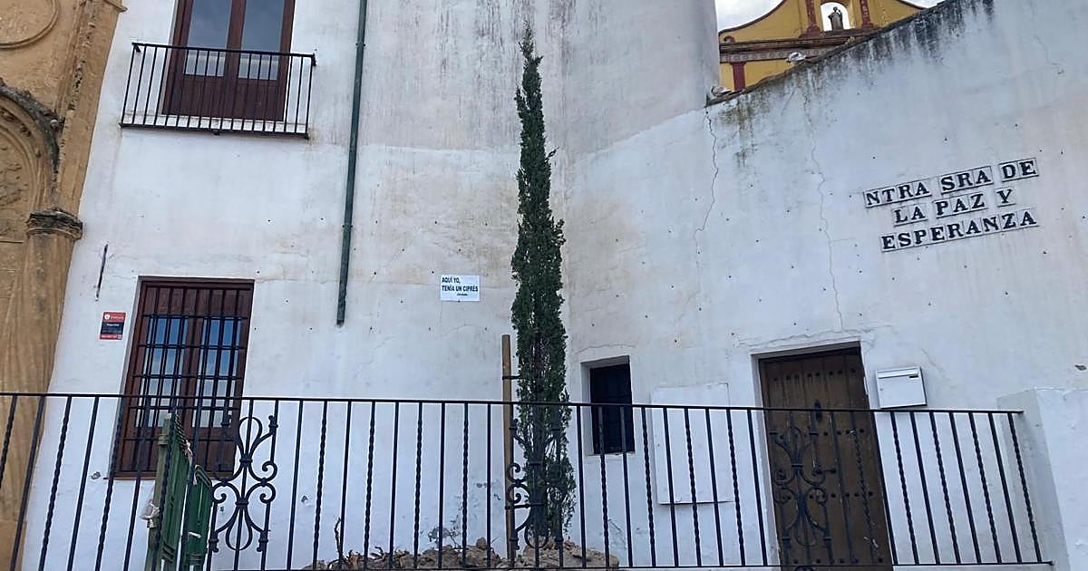 La Cuesta del Bailío recupera su imagen tradicional: el Ayuntamiento de Córdoba planta de nuevo un ciprés