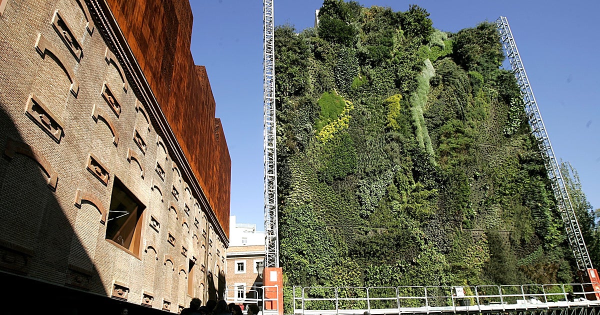 La vertical nostalgia