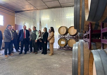 Castilla-La Mancha asumirá en julio la Vicepresidencia del Intergrupo del Vino