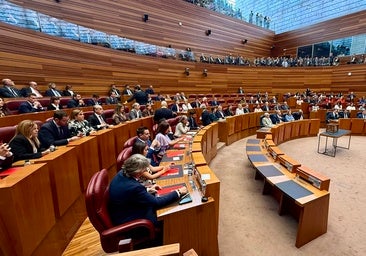 Los grupos parlamentarios van cogiendo forma en las Cortes de Castilla y León