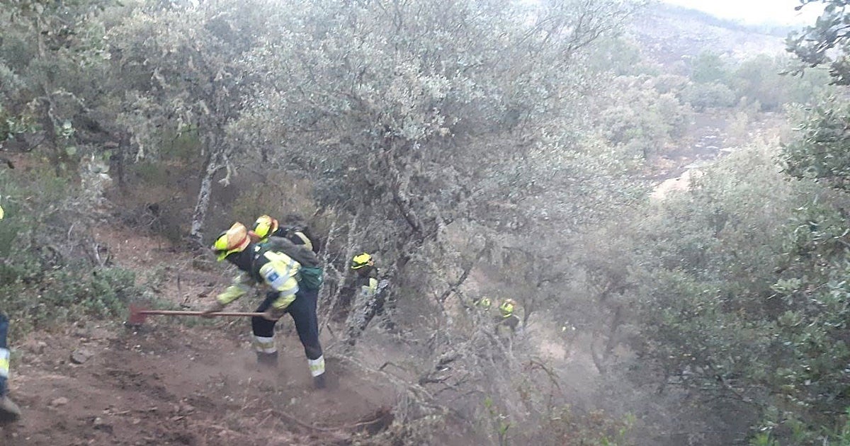 Castilla-La Mancha destina 23 millones a la prevención de incendios para actuar en 15.000 hectáreas de monte