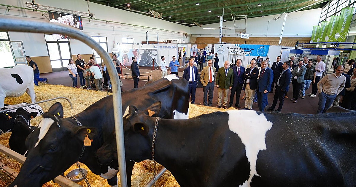 La Feria Agroganadera de Los Pedroches abre sus puertas con una imagen renovada y toda la vanguardia del sector