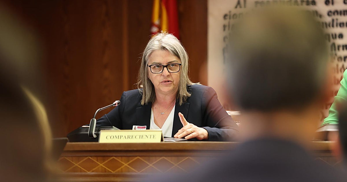 La mujer de Cerdán acude al Senado tras dos plantones por enfermedad, pero no declara