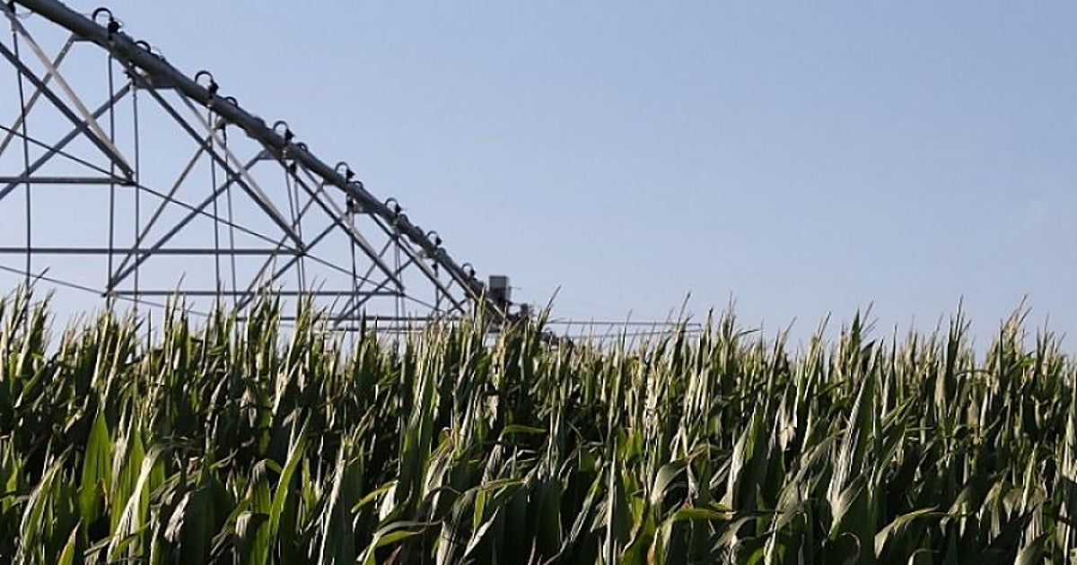 Asaja denuncia el abandono del regadío y la «criminalización injusta» de los agricultores