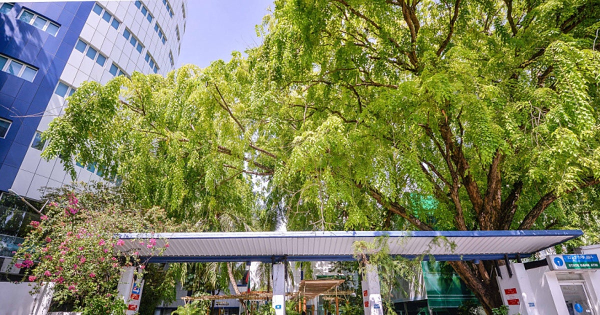 La Embajada de España en Dehli presta atención consular al alicantino atacado por un tiburón en Maldivas