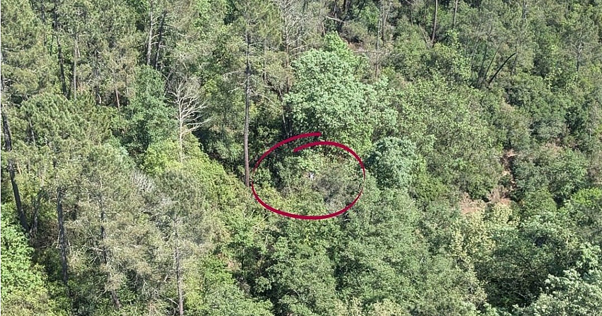 Rescatan a un parapentista herido al impactar con un árbol en Arenas de San Pedro (Ávila)