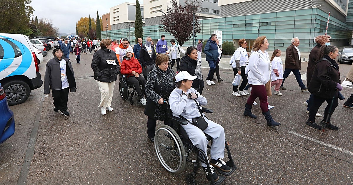 Toledo se suma a la carrera mundial por la investigación en lesión medular