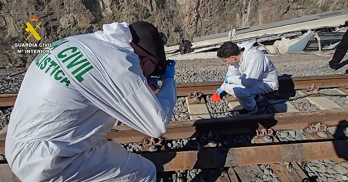 ¿Quién cometió esta gravísima imprudencia?