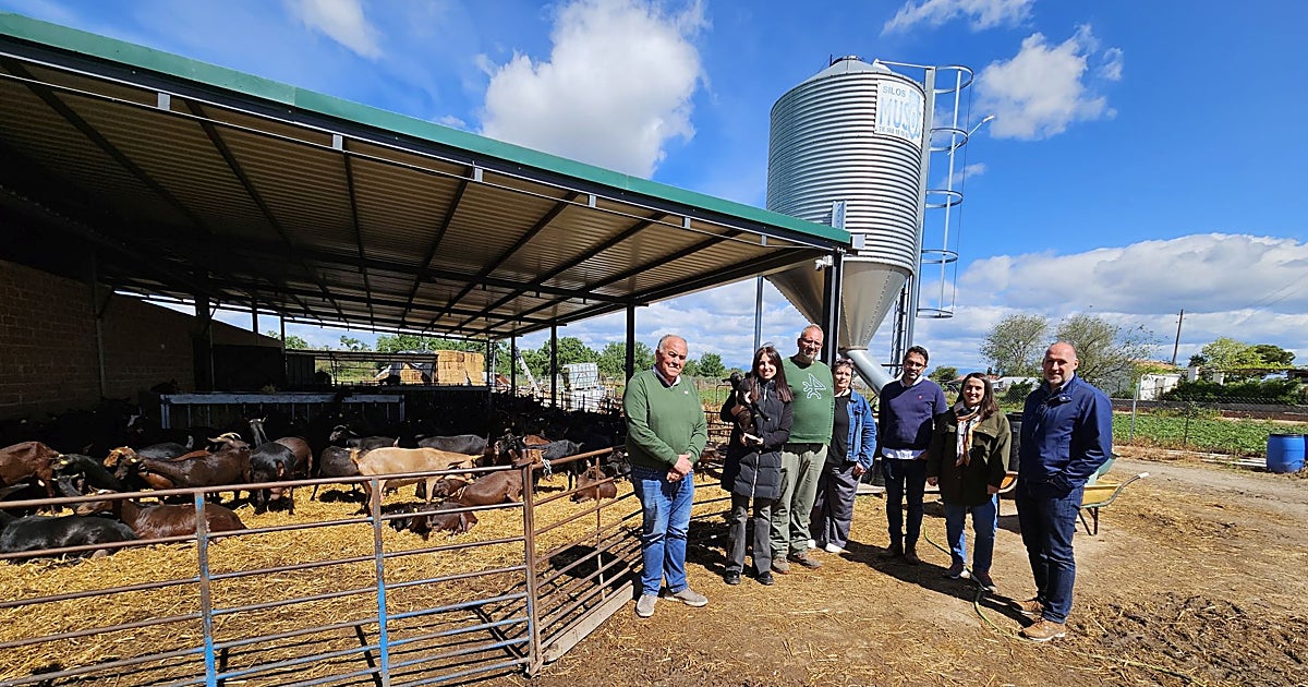 La Junta destaca el papel de la ganadería caprina en el medio rural