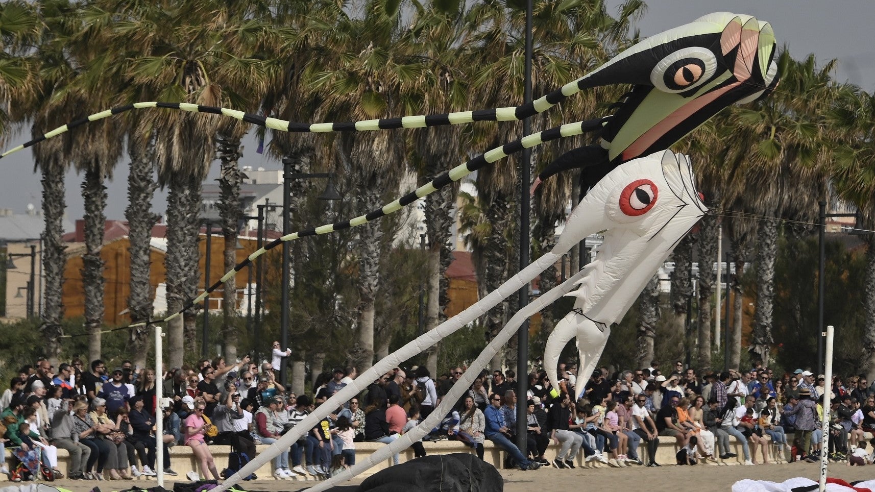 Nueva fecha y ubicación para el festival de cometas en Valencia