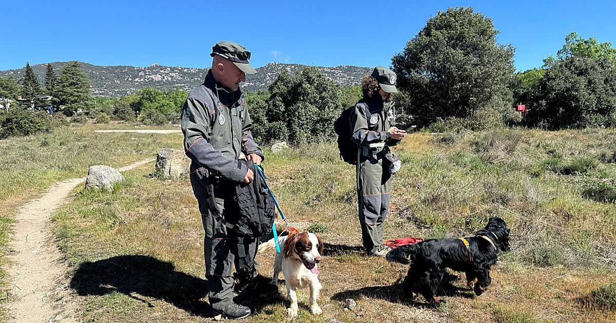 Madrid abre la 'caza' contra el uso de cebos envenenados en el medio natural