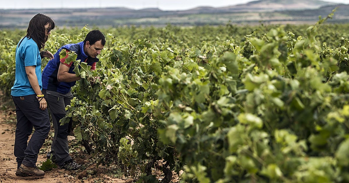 El PP acusa a Page de «escaparate» en Bruselas y de evitar exigir una PAC fuerte a Sánchez