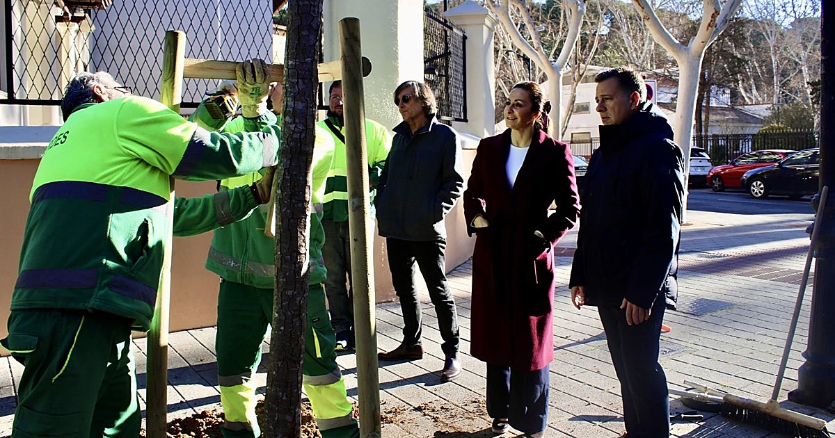 El plan de reposición de arbolado de Albacete 2025-26 supera en un 70% sus previsiones