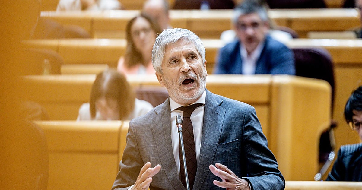 Rifirrafe entre Marlaska y el PP en el Senado por el «abandono» de la Guardia Civil en Andalucía