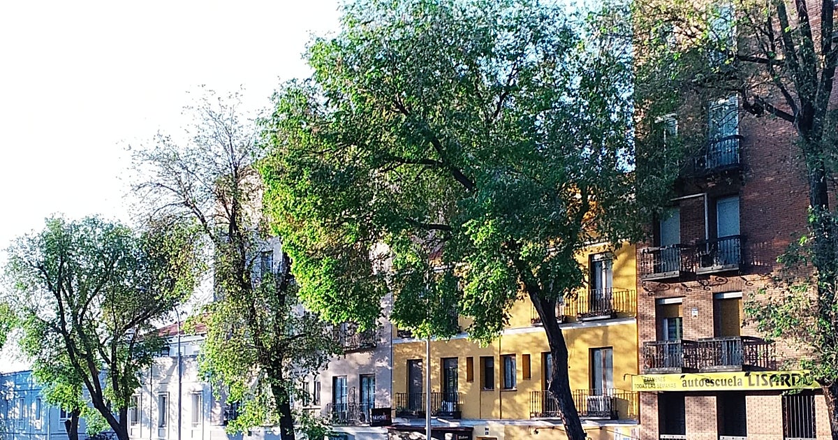 Madrid acusa a Sánchez de «reventar» los servicios sociales y le exige «rigor» en los criterios para regular inmigrantes