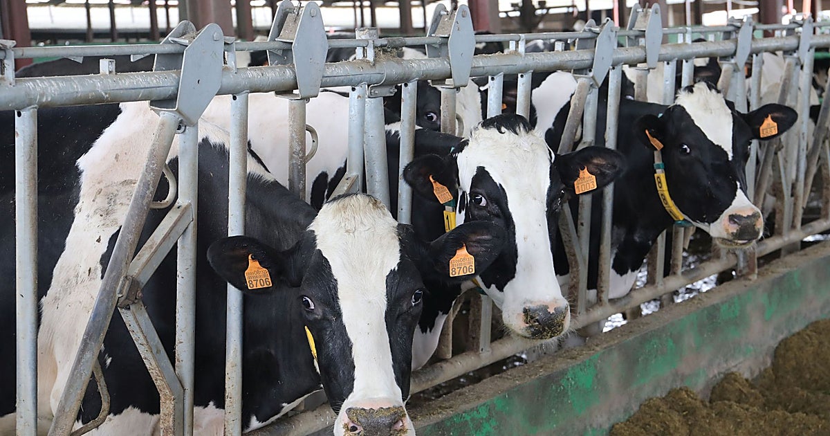 El número de explotaciones cae de la barrera de las 600