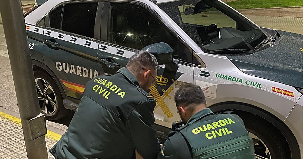 Denuncian  al dueño de cuatro gallos empleados para combates clandestinos en Valencia