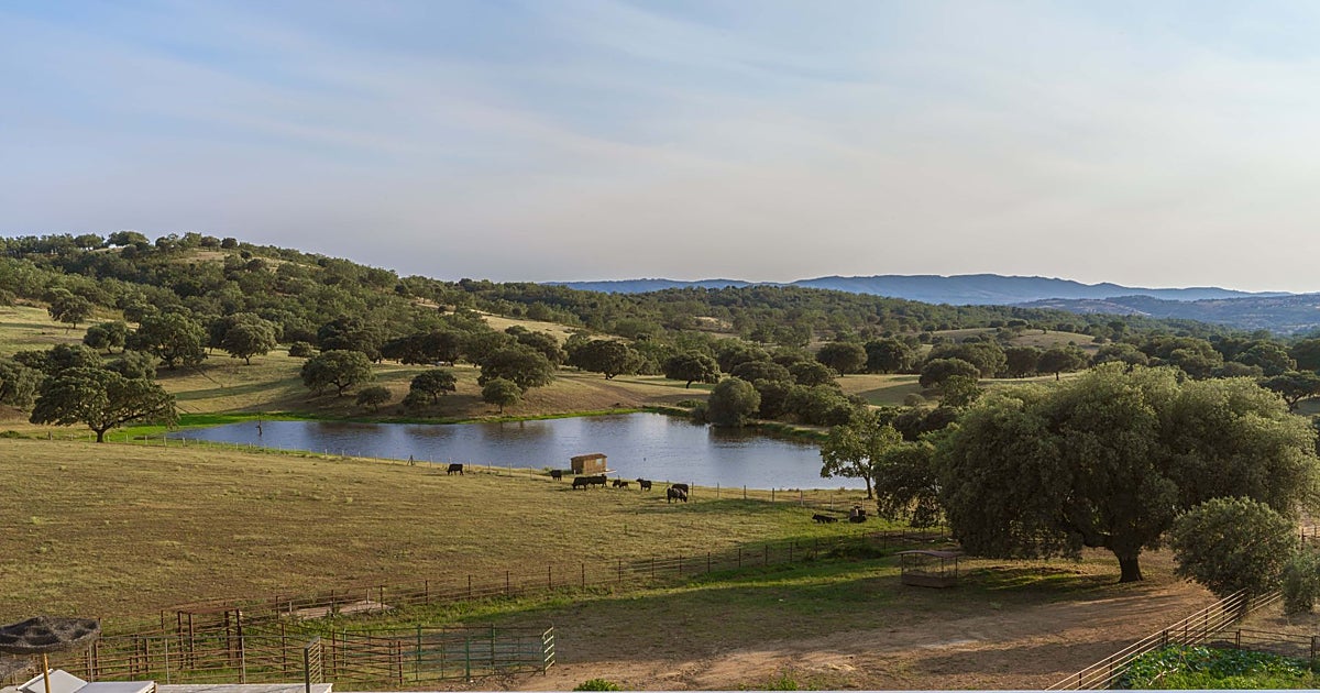 Extremadura: el lujo de viajar sin prisas y sin masificaciones