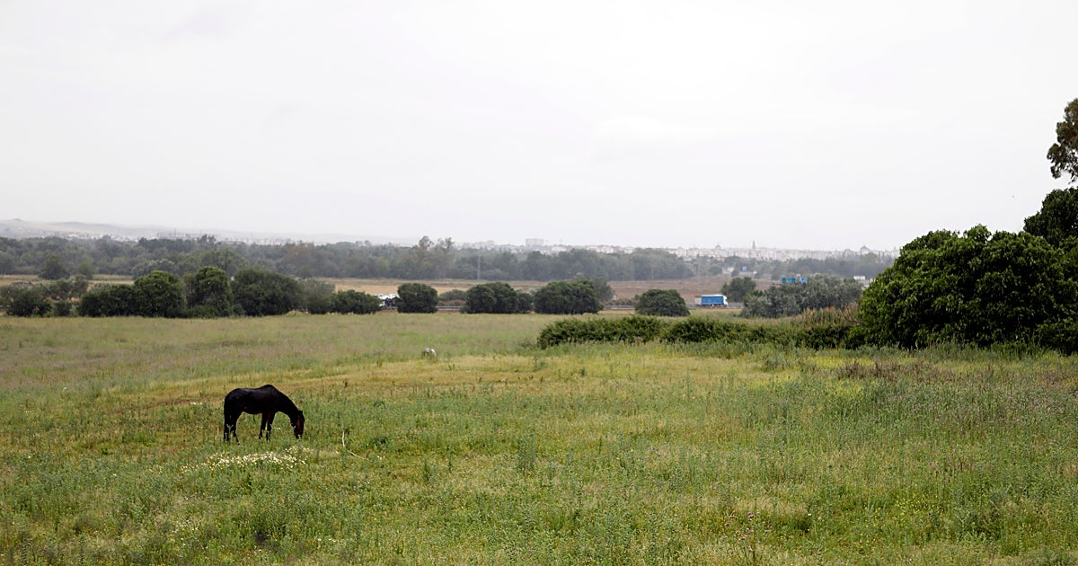 Urbanismo da luz verde a las obras de la primera fase del enlace de Las Quemadas con la A-4