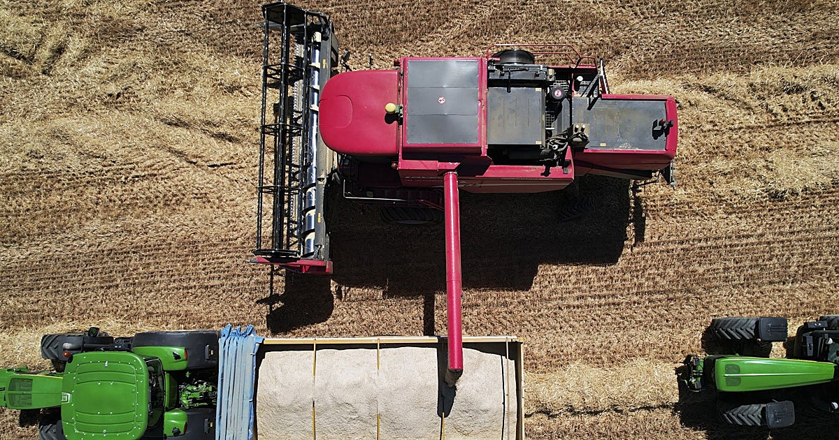 Page reitera que la nueva PAC incluye recortes «obscenos» que atentan contra la seguridad alimentaria