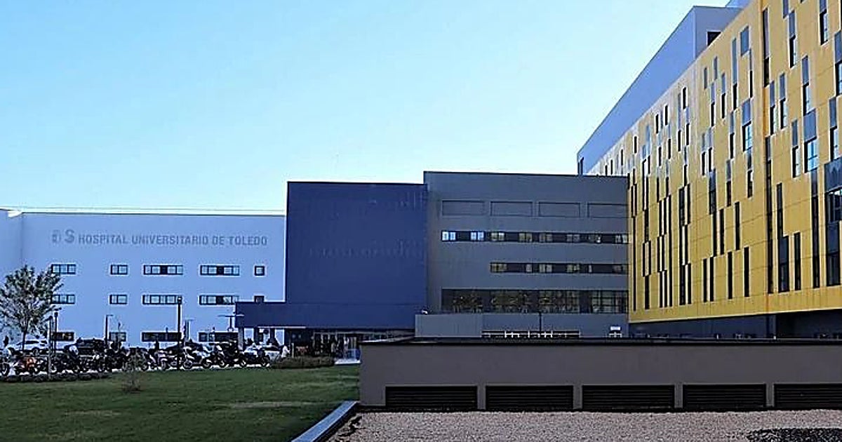 La familia de la menor agredida por dos perros lobo americano en Talavera denuncia a los dueños